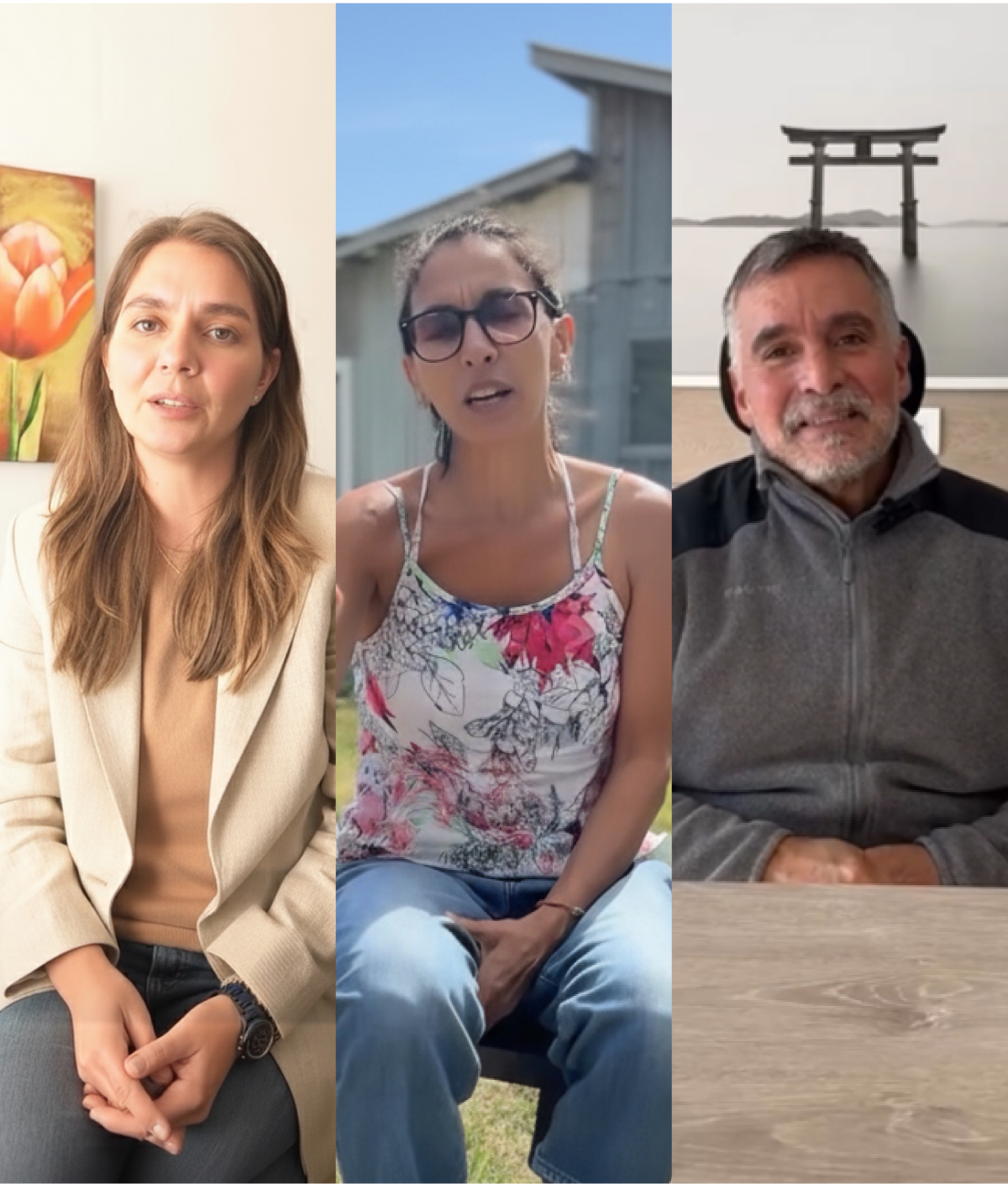 Descripción de la imagen